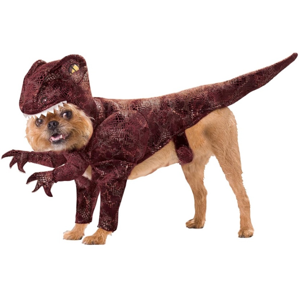 Dinosaur Dog Halloween Outfit